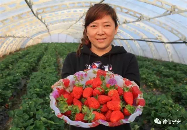 农业农村部、财政部公布！宁安成为首批20个国家现代农业产业园之一