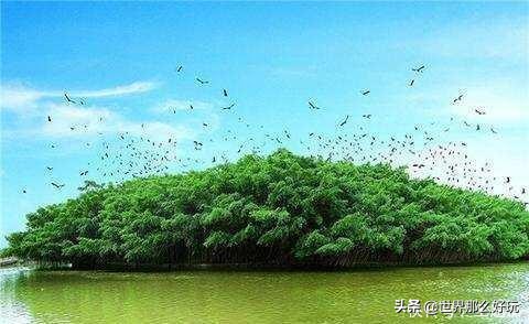 广东好玩的地方推荐蓬江,中国冷门好玩的地方