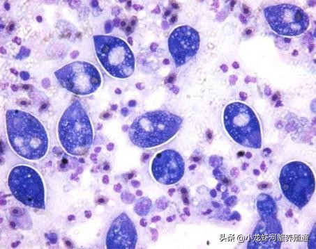 水产技术专家,水产养殖顶级专家