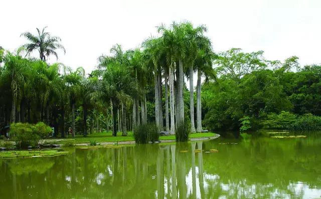 昆明好消息,好消息滇池路