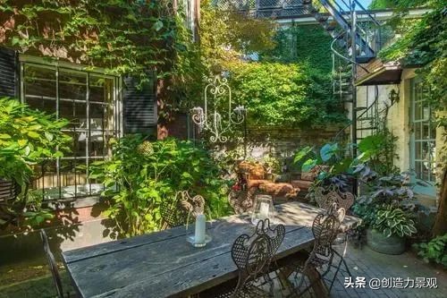 三种最旺家的爬藤植物,最好种的爬藤植物