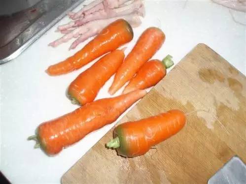 狗狗饮食禁忌不能吃的食物,怀孕狗狗吃什么食物好