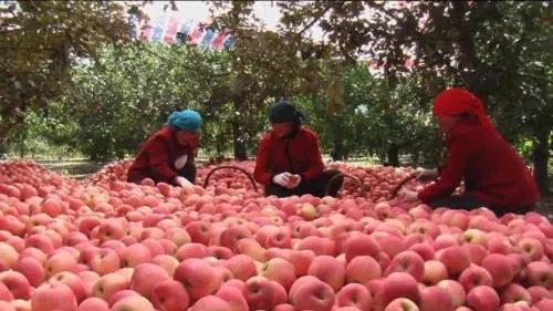 发财记:安徽小伙闯非洲,白手起家多磨难,选对项目,3年大翻身
