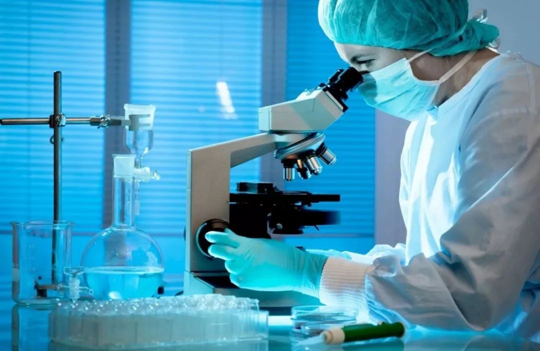 纠正偏差管理,偏差管理规程