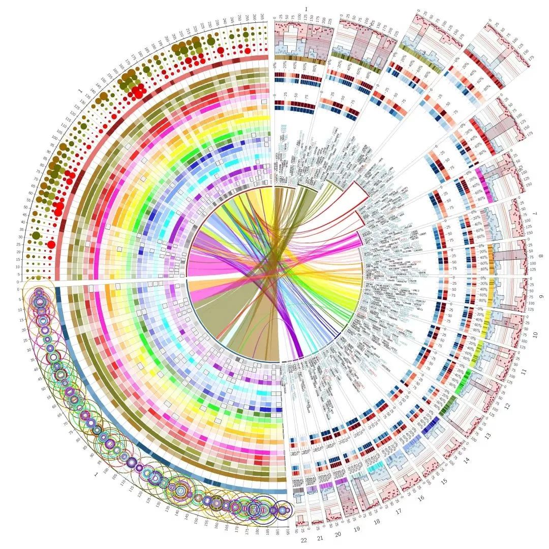 法国发现最新传染疫情,巴黎发现神秘病毒