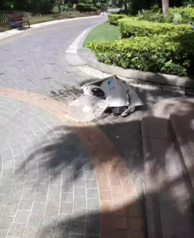 10岁男孩高空抛下灭火器砸中邻居,灭火器高空扔下致使邻居死亡