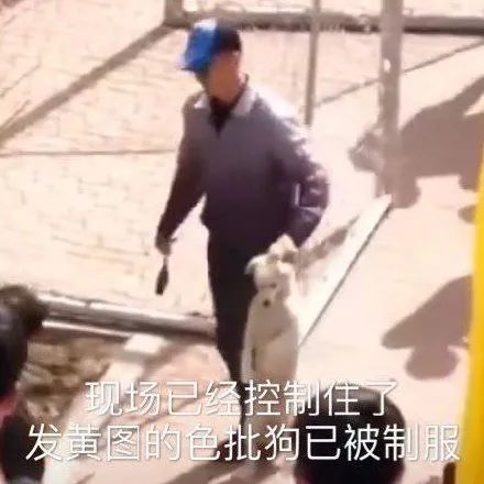 贴吧是什么时候开始有的,贴吧从什么时候开始衰退