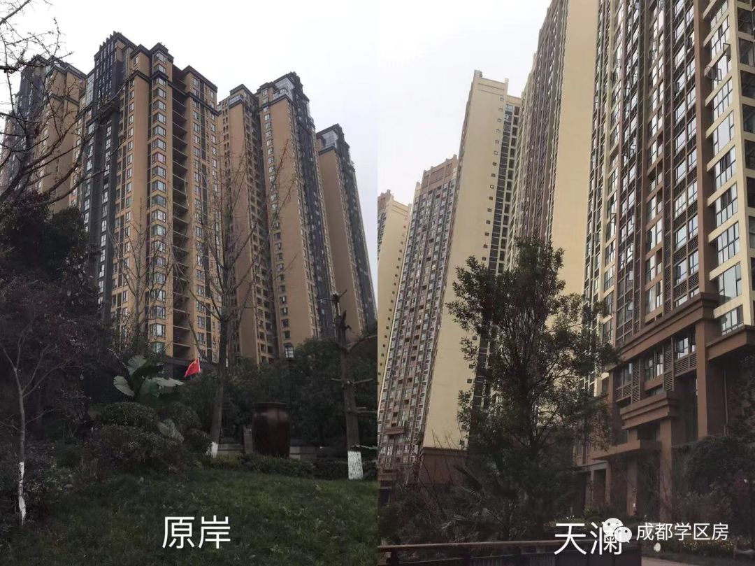 华侨城小学配套什么中学,华侨城对口小学