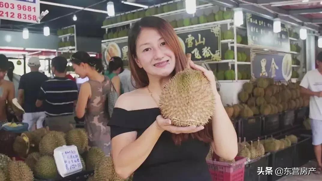 碧桂园森林城市与海花岛,碧桂园城市花园格局