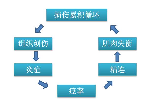 肌肉粘连锻炼可以恢复吗,运动完之后如何防止筋膜肌肉粘连