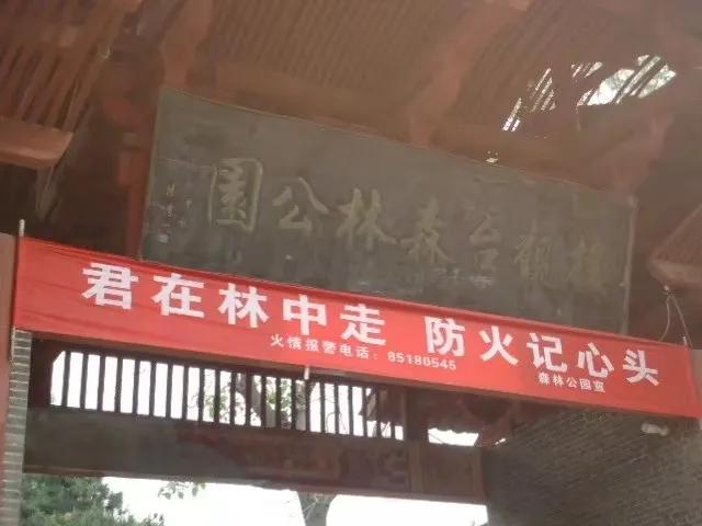 楼观台国家森林公园竹林,楼观台国家森林公园海拔