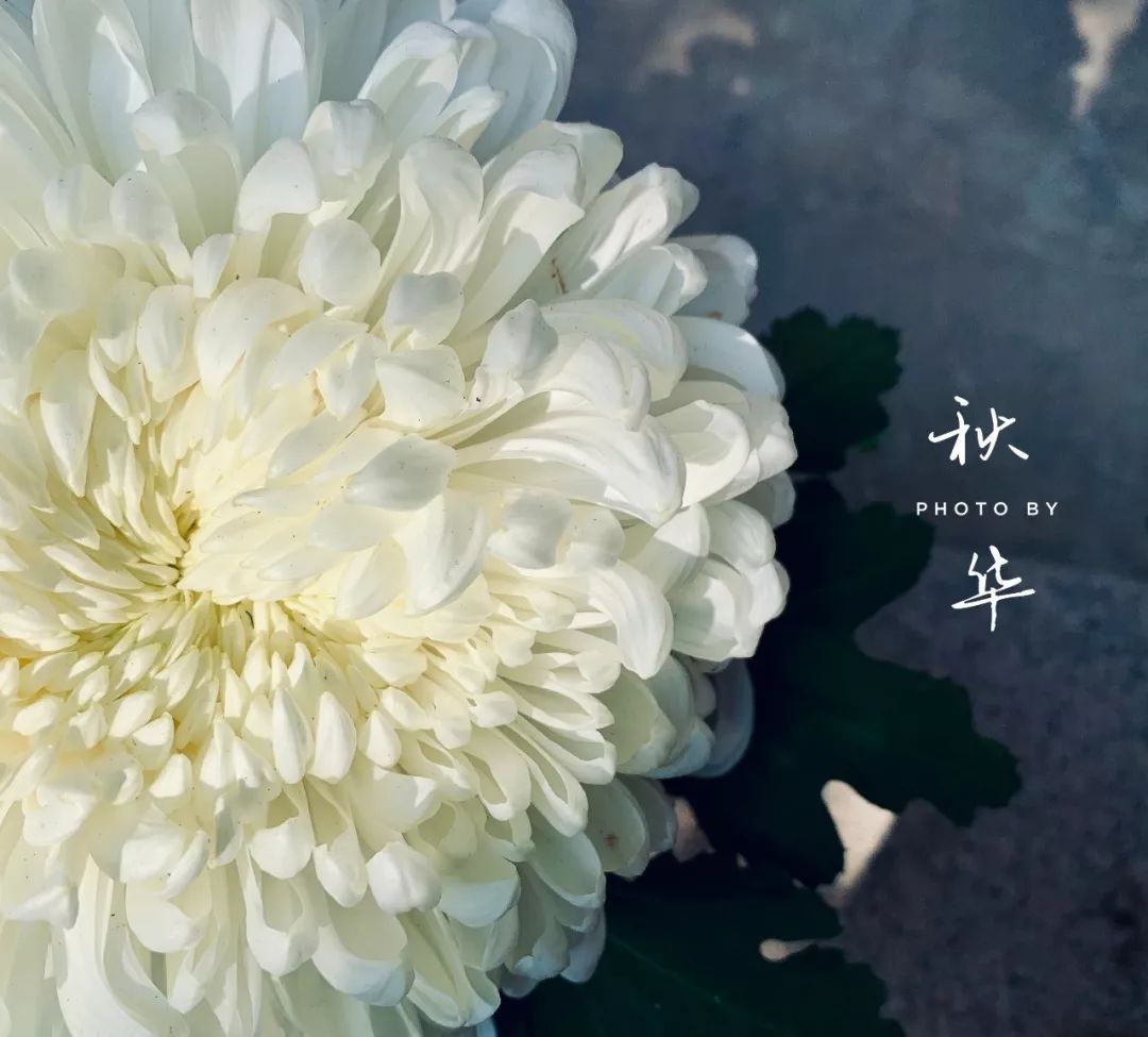 一入秋西安就美成长安,一入秋杭州就美成临安