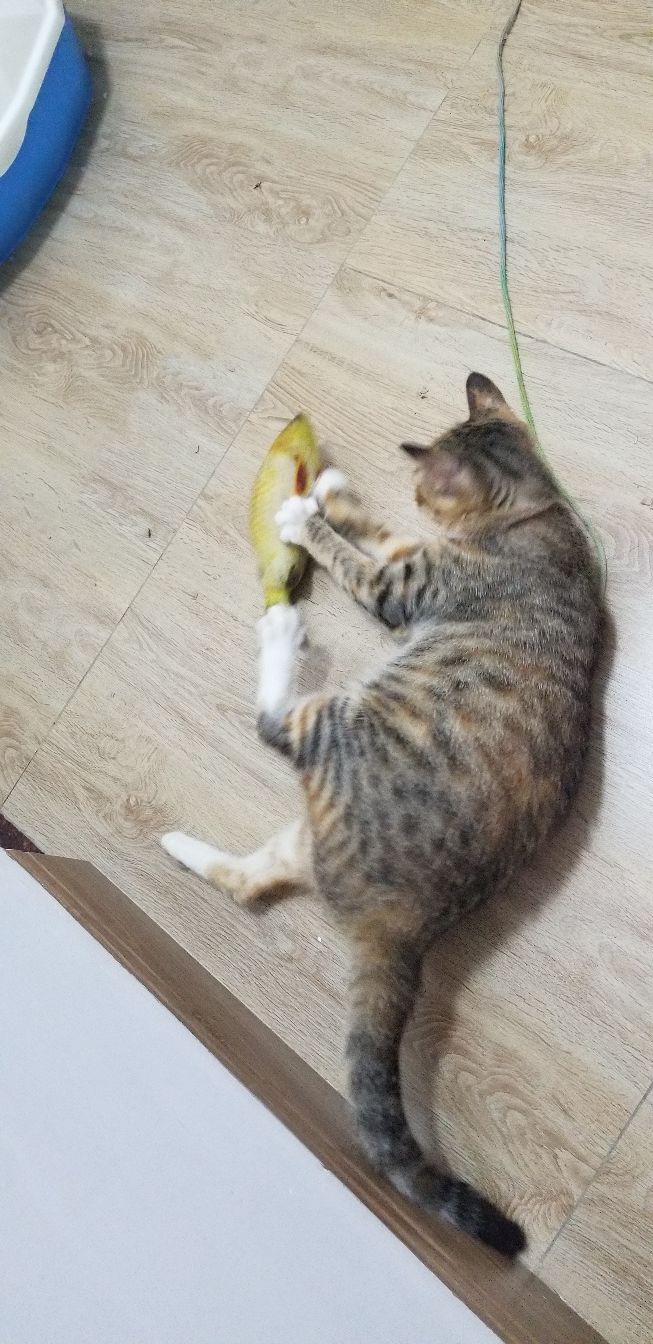 omg怀胎,omg生孩子了吗