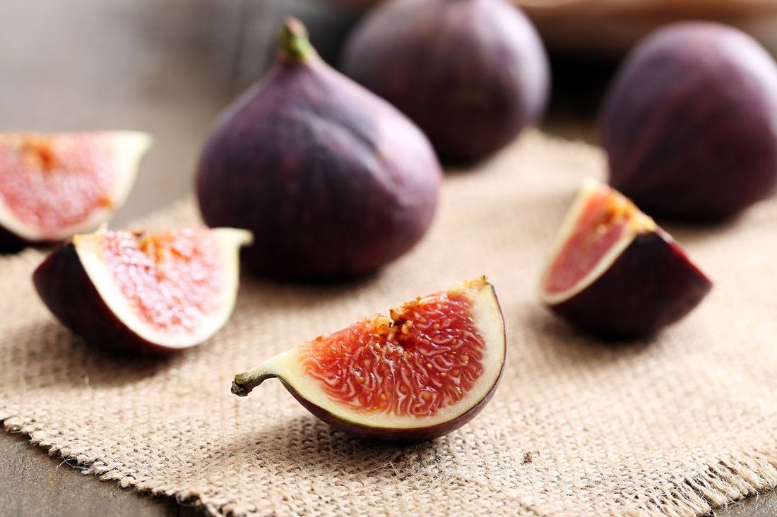 无花果被称为生命之果,生命之树盆栽