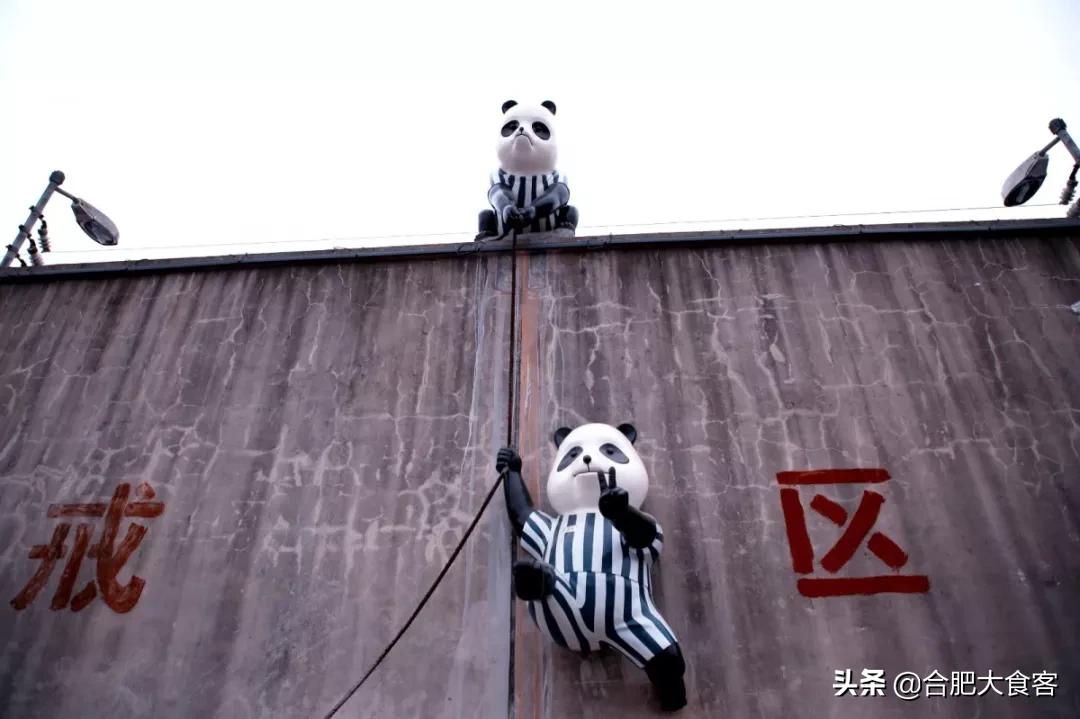 安徽合肥网红排前100名,合肥18-19年比较火的网红