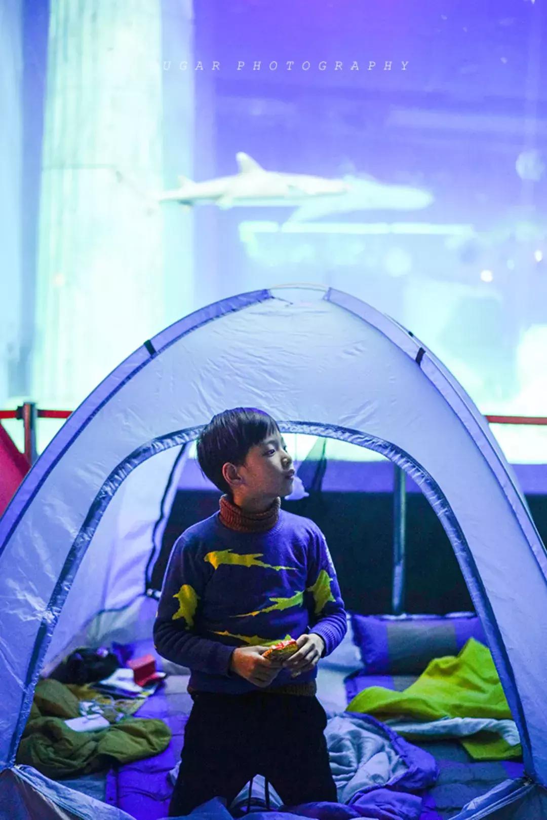 「亲子游」与万千海洋动物一起，夜宿探索极地海洋之美