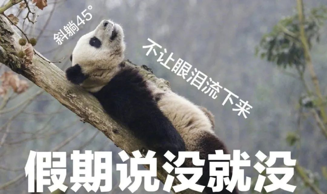 今年的五一假期要比以往来得更快,比时间更快的是回忆