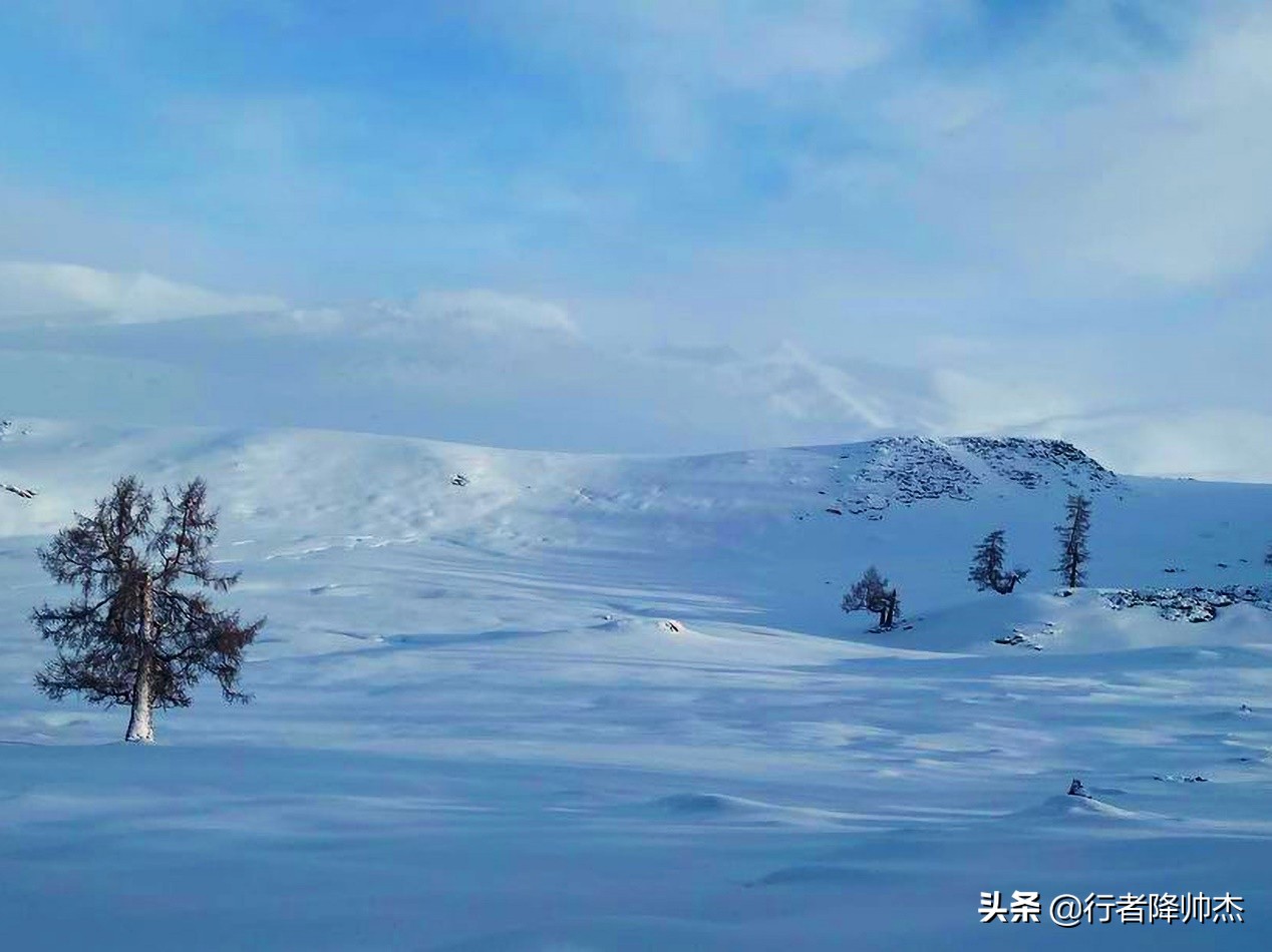 阿勒泰滑雪攻略,为什么滑雪玩单板的比较多