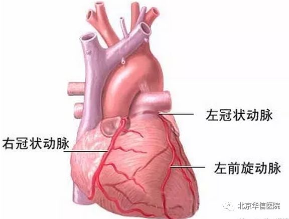 吃了一片硝酸甘油差点死掉,硝酸甘油一下吃了六片