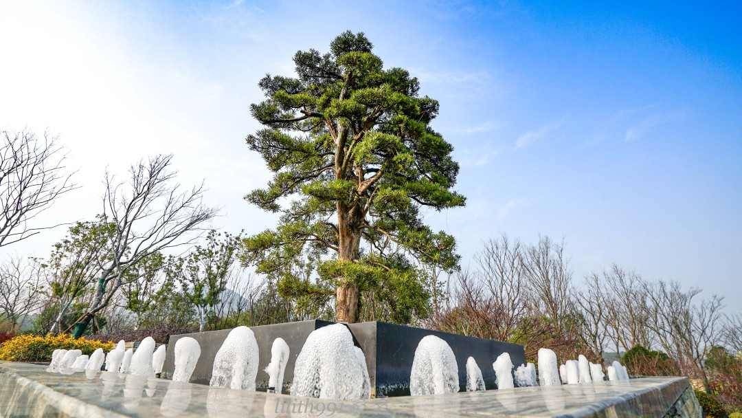 佛顶牛首山旅游攻略,牛首山佛顶宫和佛光山