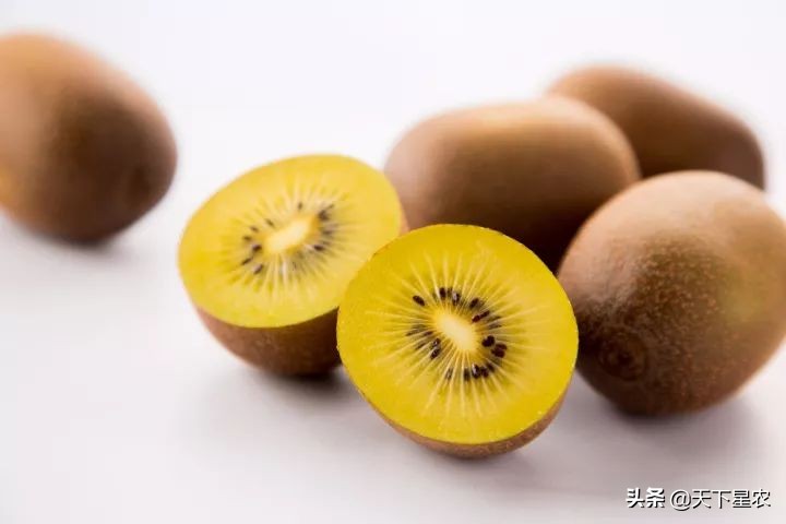 菠萝凤梨樱桃车厘子图,成都车厘子和樱桃的区别