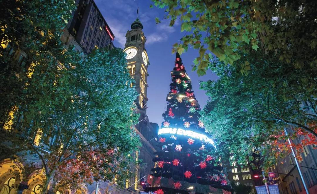 悉尼圣诞节美食攻略,悉尼正能量