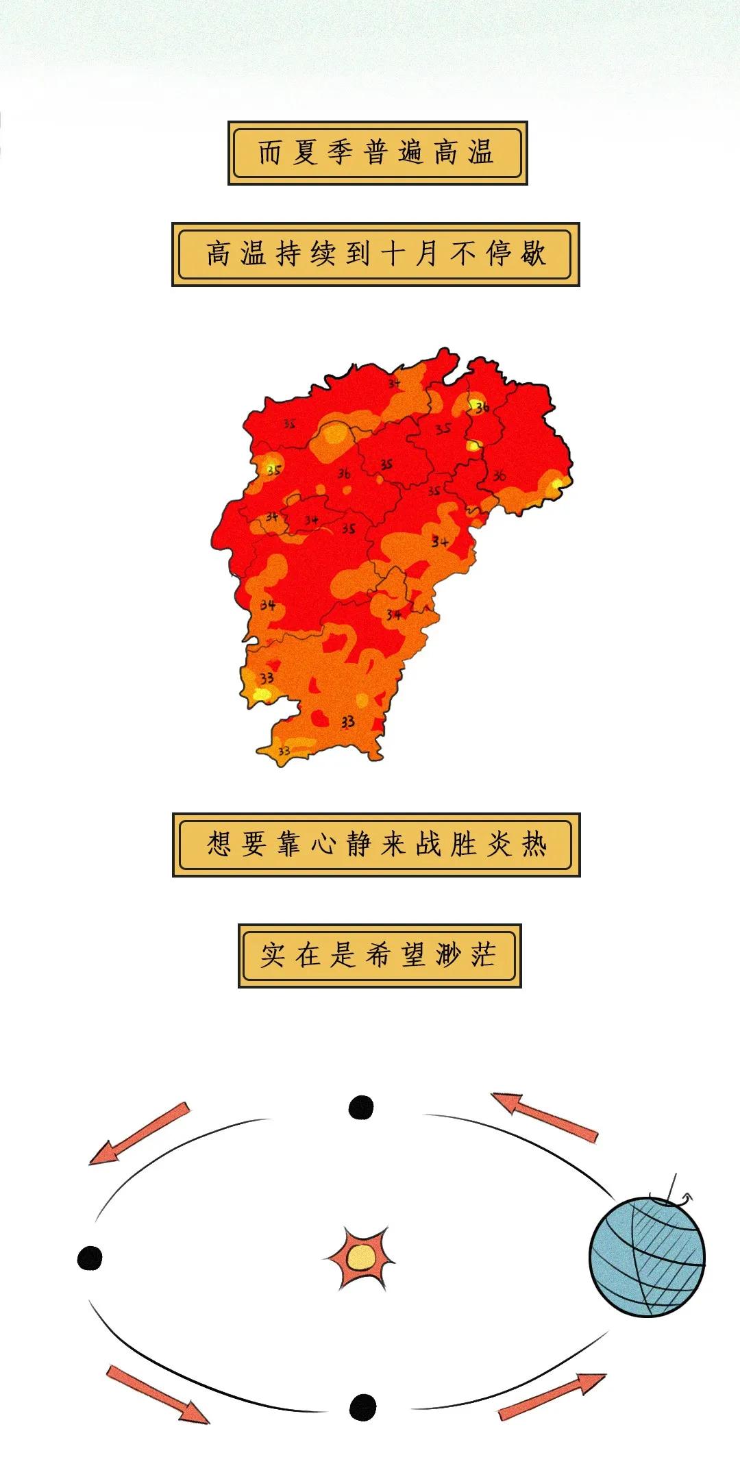 江西茶油树图片,江西茶油价格表