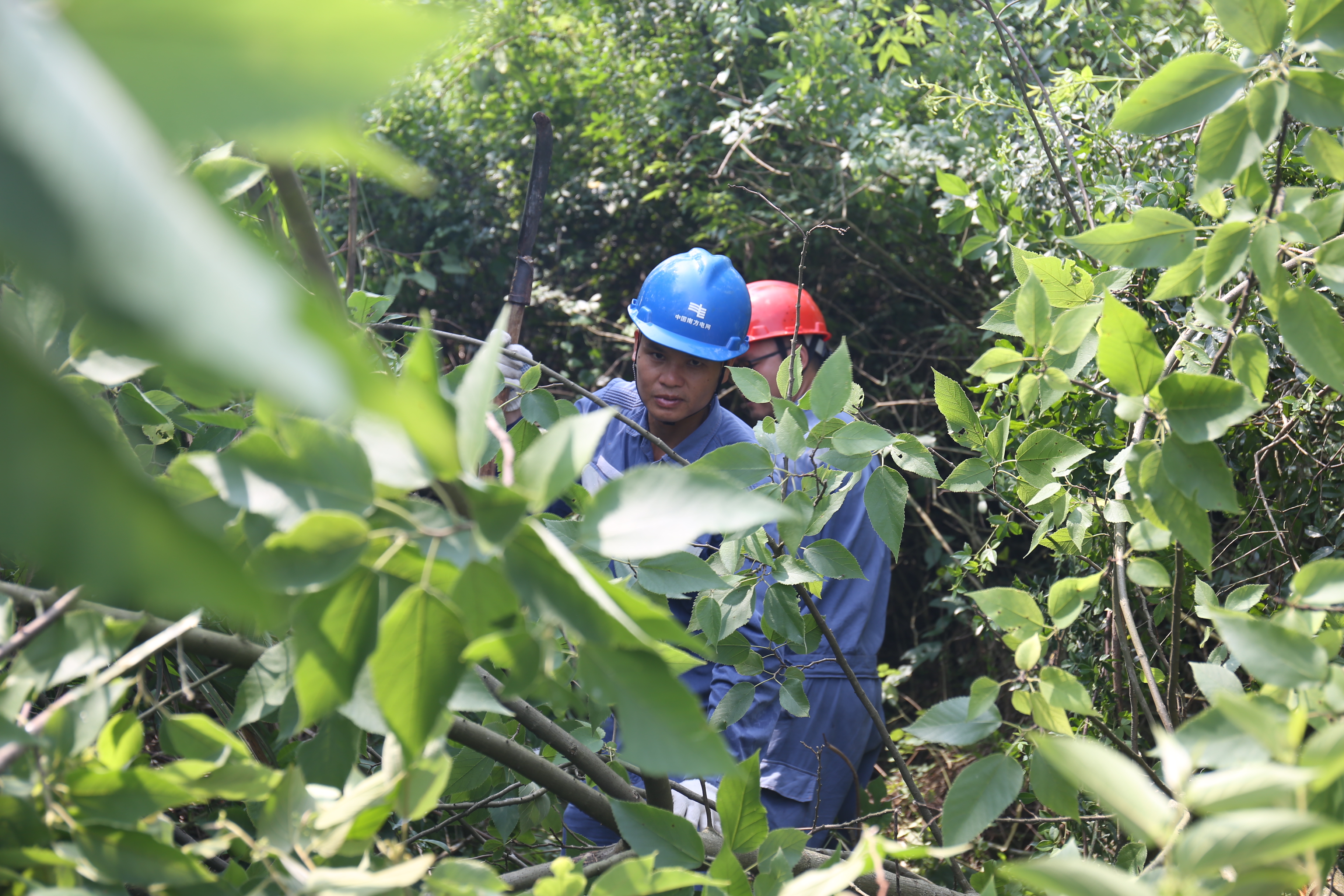 宾阳避暑胜地,宾阳避暑
