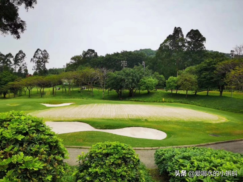 三分钟看懂高尔夫规则的视频,三分钟看懂高尔夫规则室内