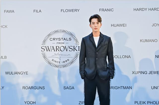 施华洛世奇跨界,施华洛世奇跨界合作