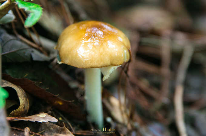 朝天三天旅游攻略,朝天区旅游攻略自驾游