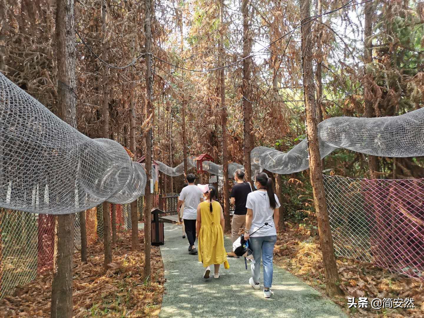 松鼠部落自驾游,松鼠部落一日游