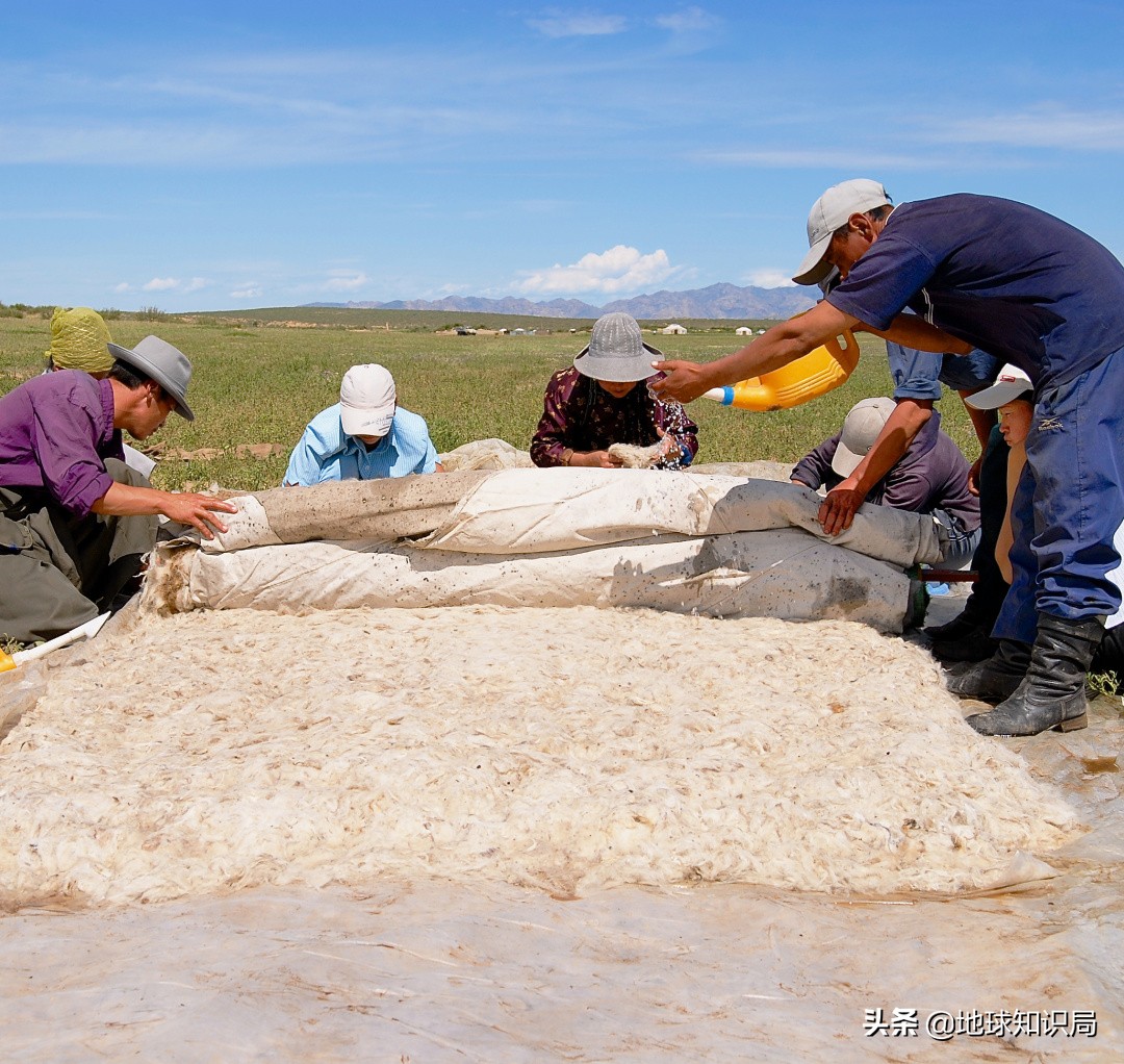 蒙古国农业潜力,蒙古国为什么适合发展畜牧业