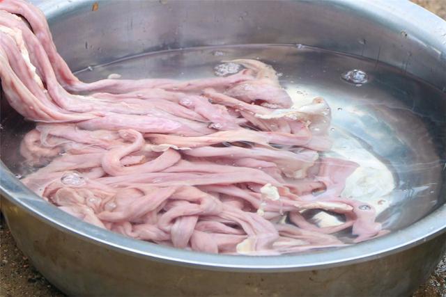 猪大肠怎么炒才脆好吃,猪大肠怎样炒才脆又好吃