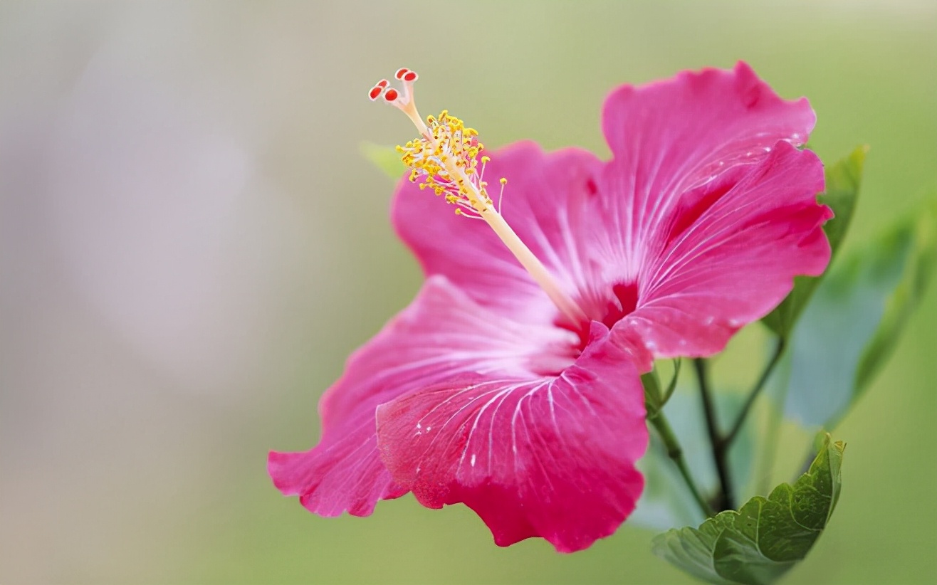 缺爱缺安全感的人如何自愈,从小缺爱的女人治愈的方法