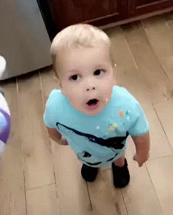 俄罗斯猫敢惹吗,俄罗斯猫有多凶猛