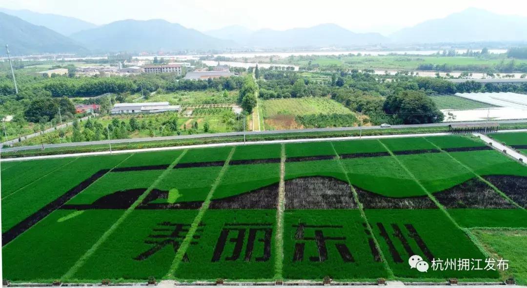 钱塘江大潮图画,钱塘江大潮的壮观景象手绘