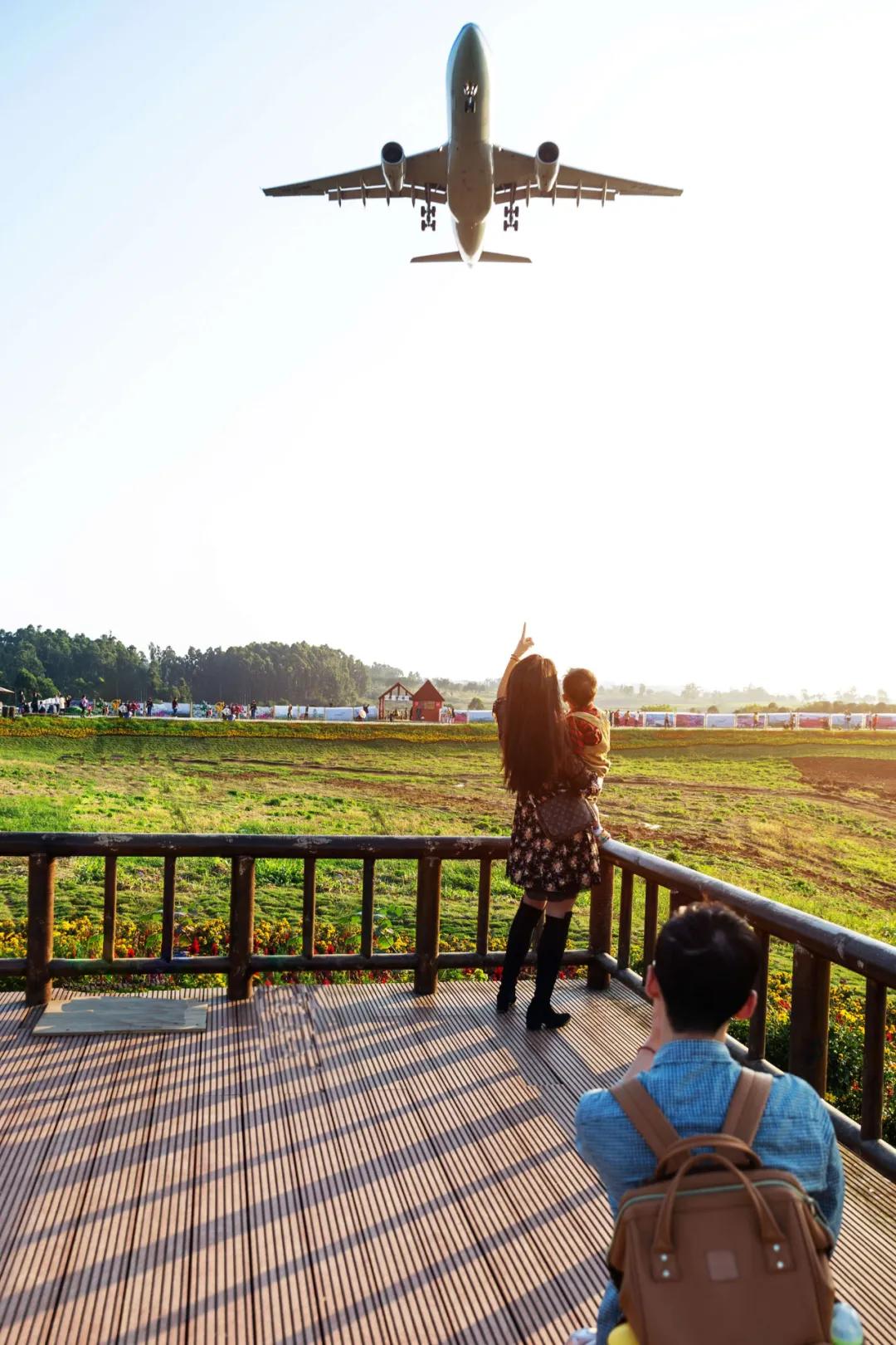 在空港花田里怎么拍照好看,每张都是屏保