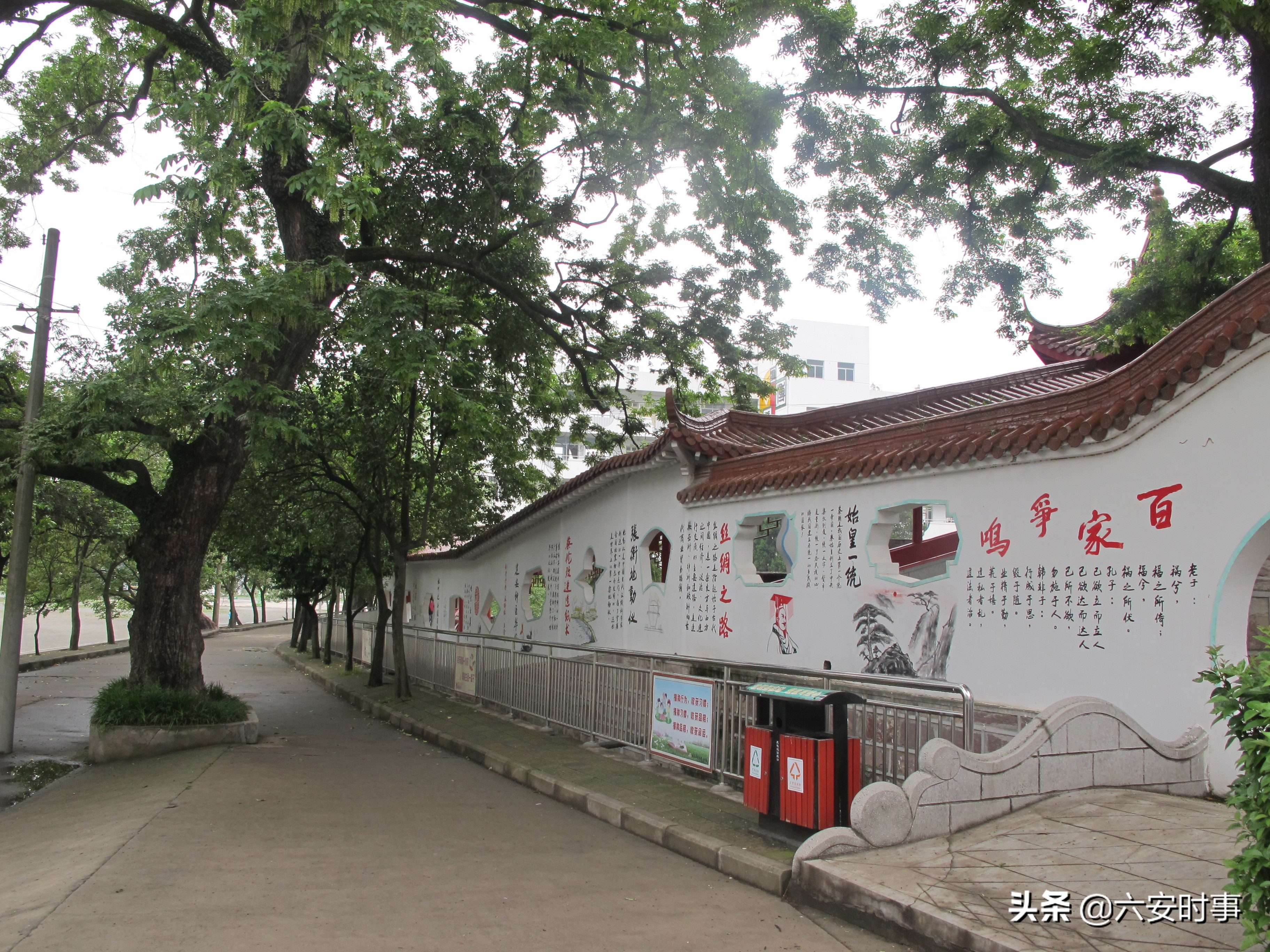 校园春意盎然,校园春意荡漾