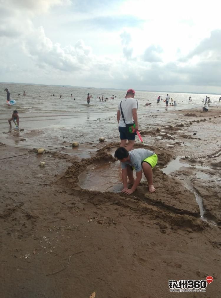 2024年钦州沙井岛茅尾海新规划,钦州茅尾海沙滩浴场