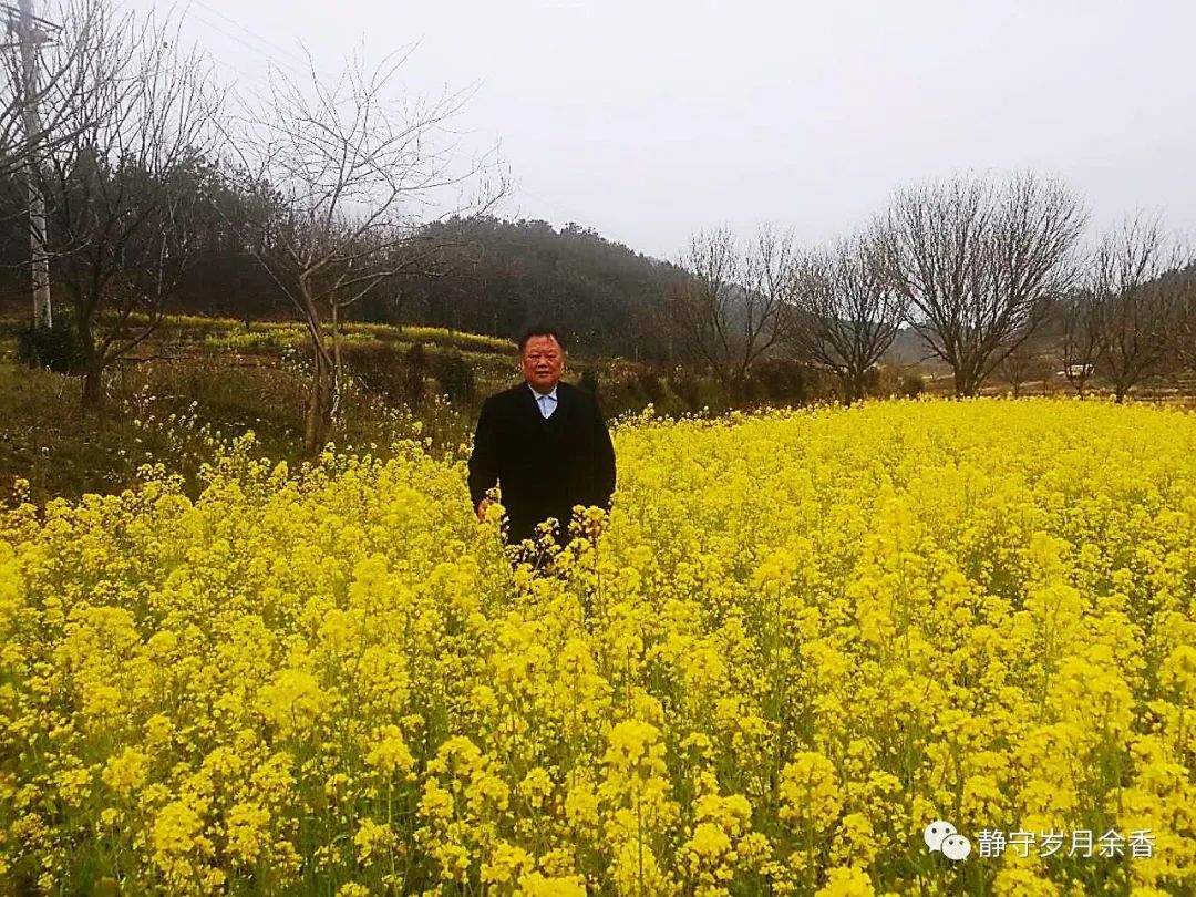 麻城蔡家山陶器,麻城蔡家山窑简介