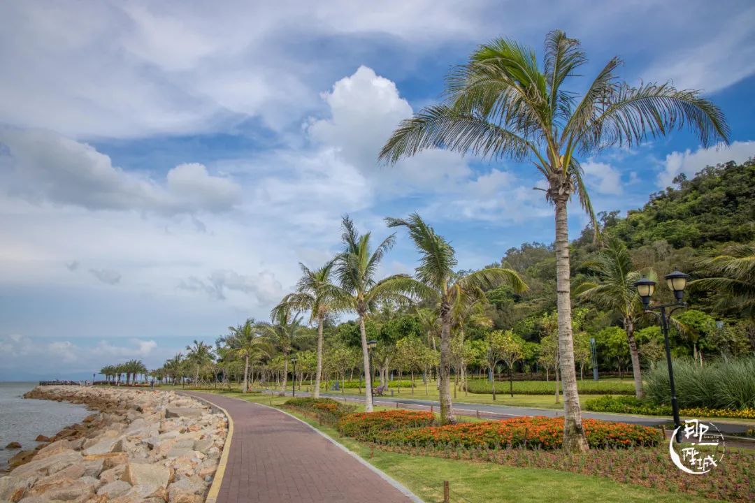 我去了最适合谈恋爱的珠海，回来却还是个单身狗