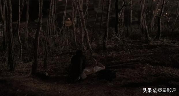 杀人回忆电影真凶什么时候抓到的,电影杀人回忆最终破案