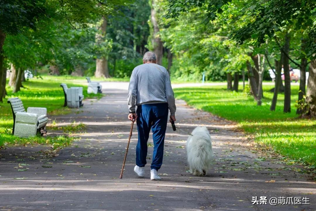 懒人养的猫很粘人吗,猫养得越久越粘人