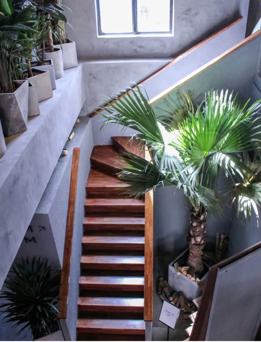 破防了！沈阳这10家绝美新店堪称颜狗天堂