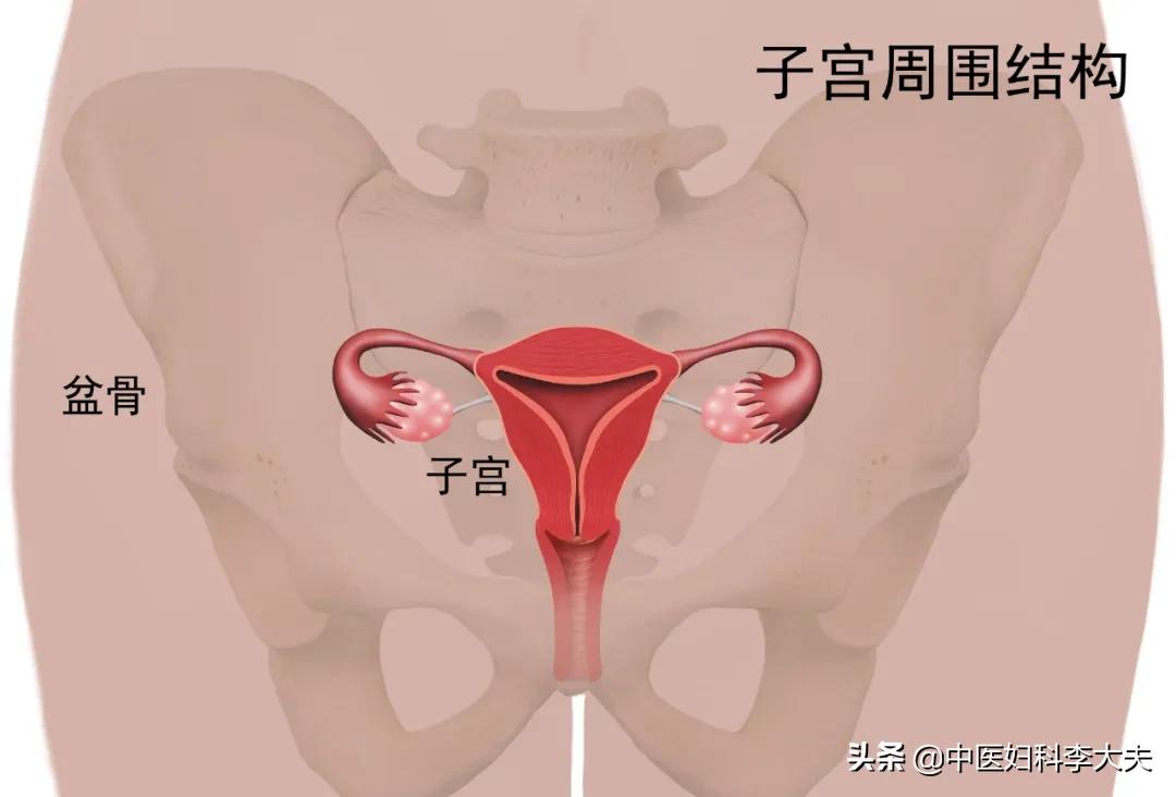 子宫增大了，会是什么原因呢？