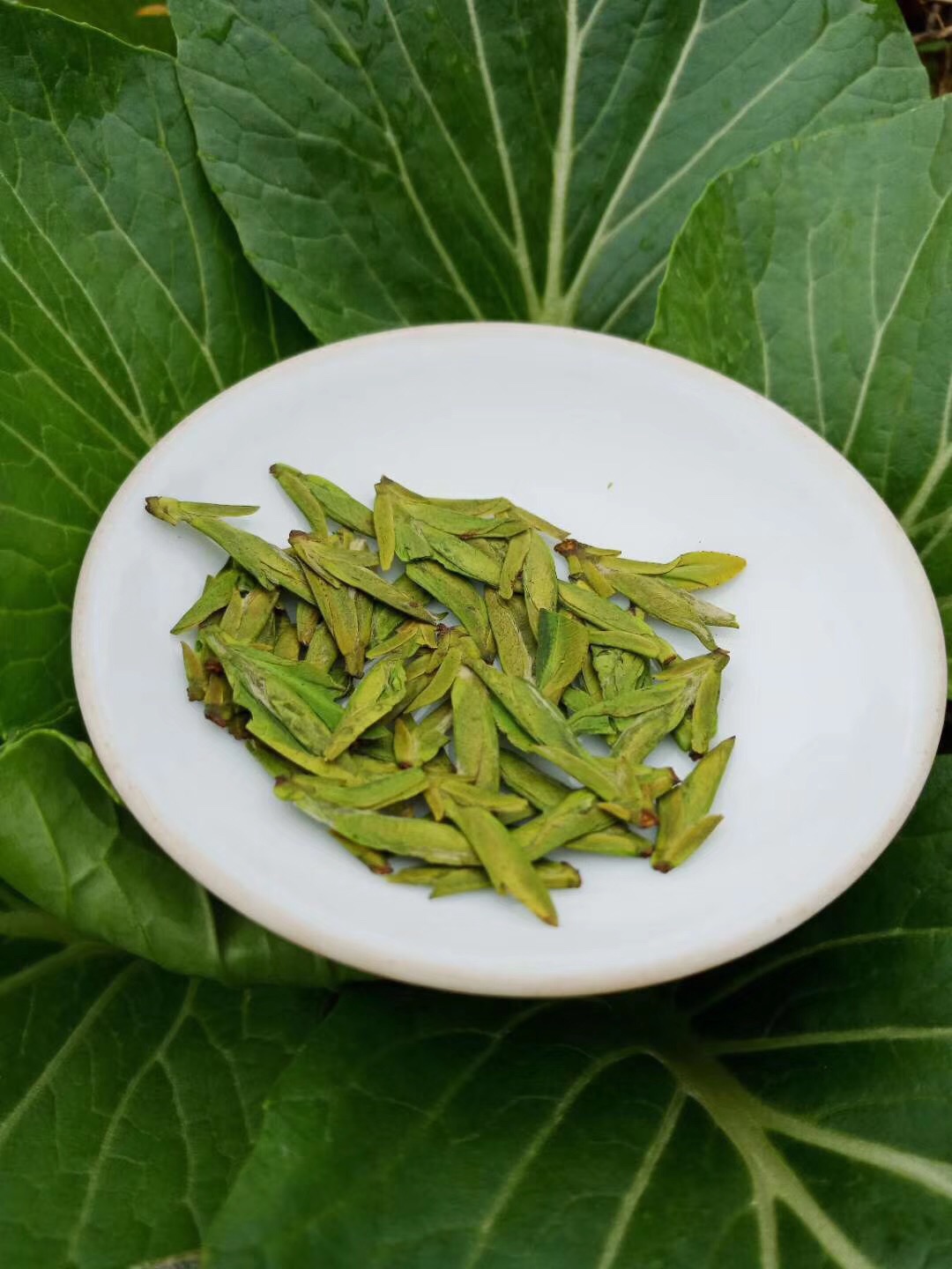 西湖龙井茶怎么冲泡,西湖龙井茶冲泡时间表