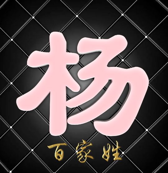 富有艺术性的百家姓字体,黑体字体设计百家姓