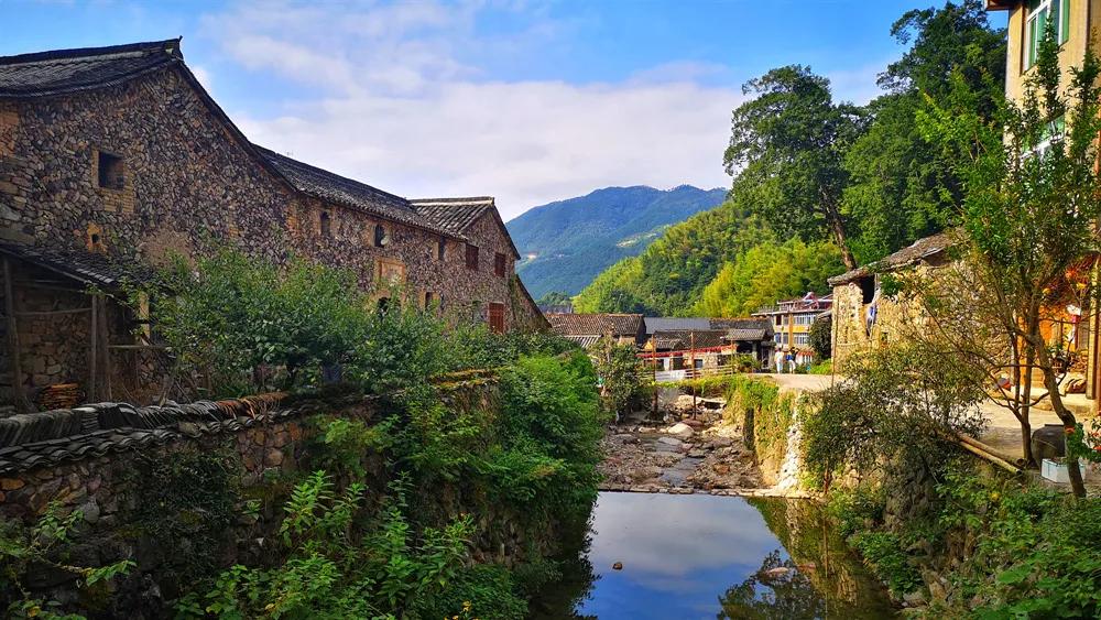 银杏古道自驾游攻略,江浙沪绝美古道苏州