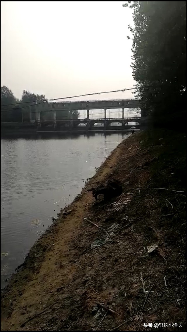 周口商水汾河钓鱼,周口汾河钓鱼最佳地点